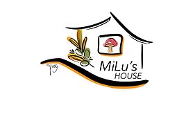 Milu'S House - Cir 0092 -
